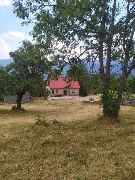 Ivica - Bed and Breakfast Donji Godijelji