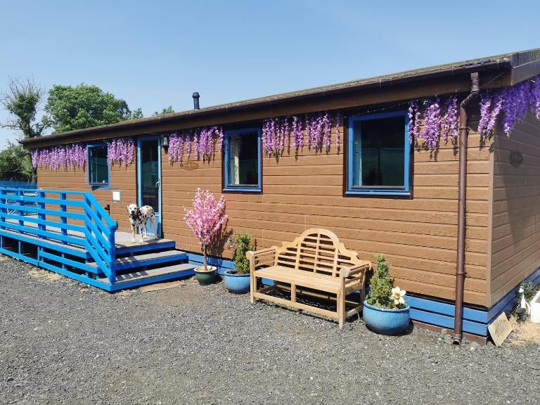 Glen Roe - 3 Bed Lodge on Friendly Farm Stay - B&B New Cumnock