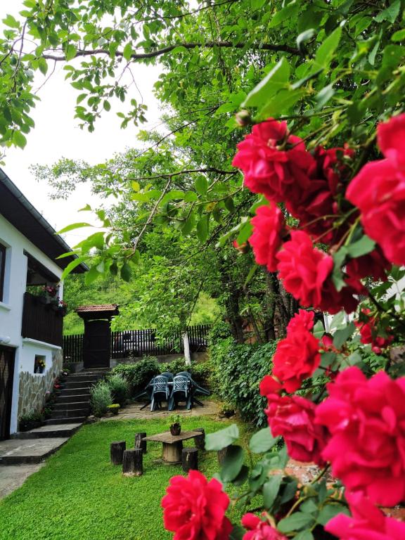 Къщи за гости Костови - Bed and Breakfast Miykovtsi