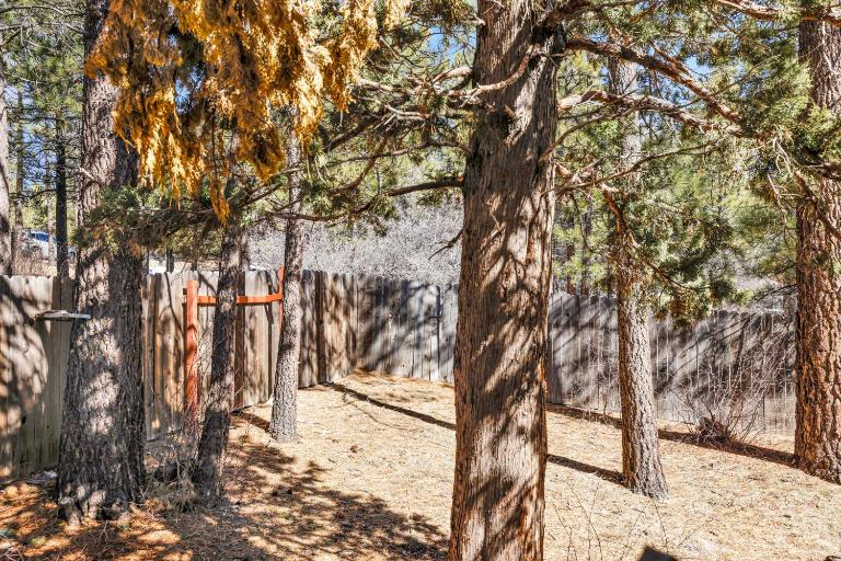Rustic retreat #2419 - B&B Big Bear Lake