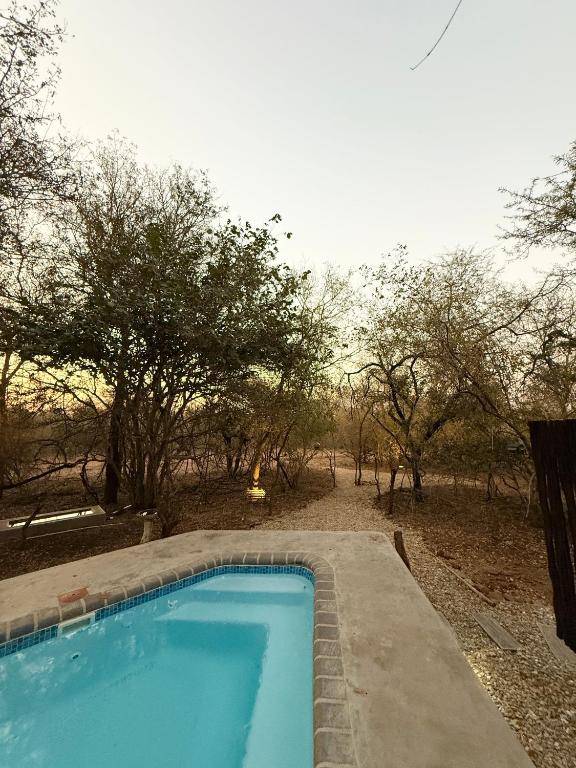Veni Vidi Amavi Luxury Safari Treehouse Modern Luxe with Private Pool Deck No Neighbours Fence Facing - B&B Marloth Park