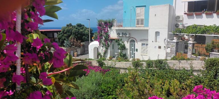La Casa di Tina - B&B Sant Angelo D'Ischia