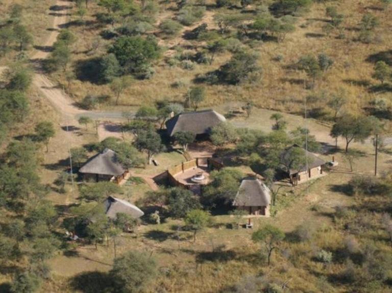 Witgatboom Boskamp - B&B Mookgophong