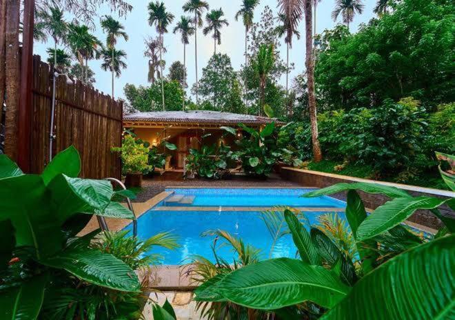 Mcafe Private Pool Plantations by Greenescapes - B&B Kunchūr