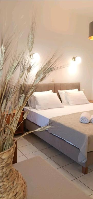 ZOGRAFOS SPIROS Rooms - B&B Pérdika