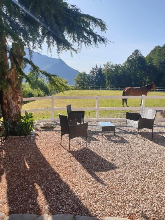 Apartma Morizna - B&B Caporetto