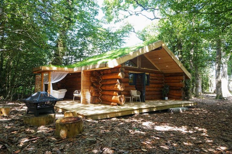 Secluded Hand Crafted Log Cabin - Chambres d'hôtes Okehampton