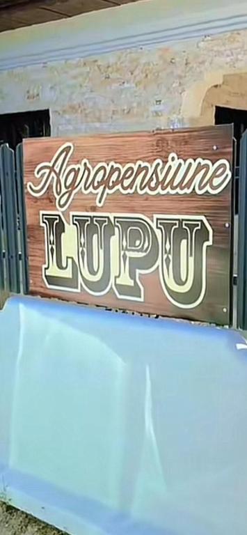 Agropensiune Lupu - B&B Ursăţei