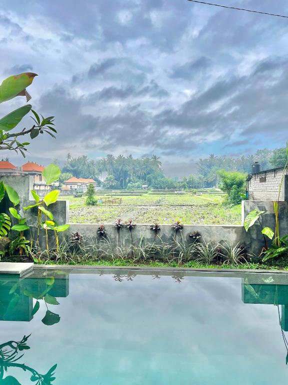 Cozy 1Bedroom View Ricefields - Ferienwohnung Ubud
