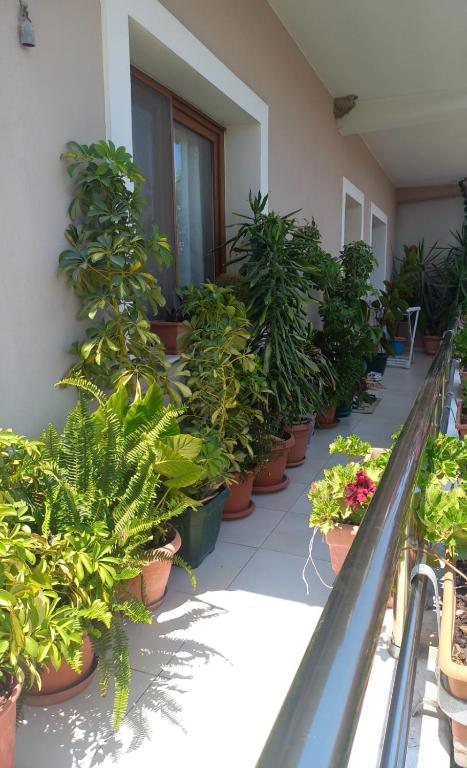 DAJTI VIEW Ap - B&B Tirana