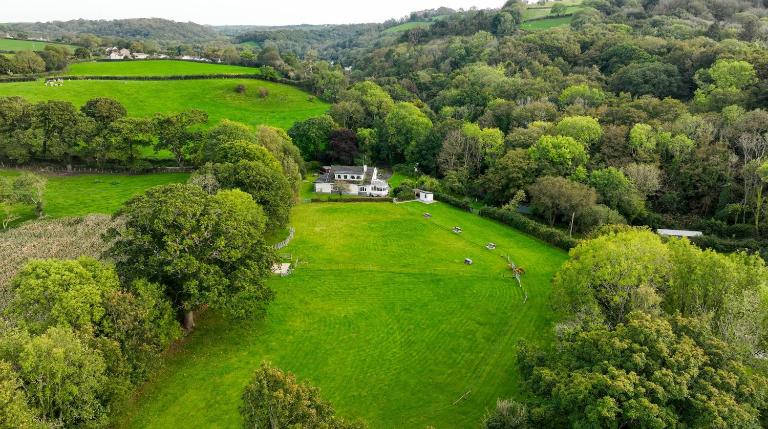 Five Oaks B&B - New Quay - Ferienwohnung Llanina
