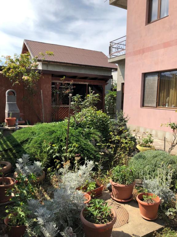 Casa EVY - Bed and Breakfast Eforie Nord