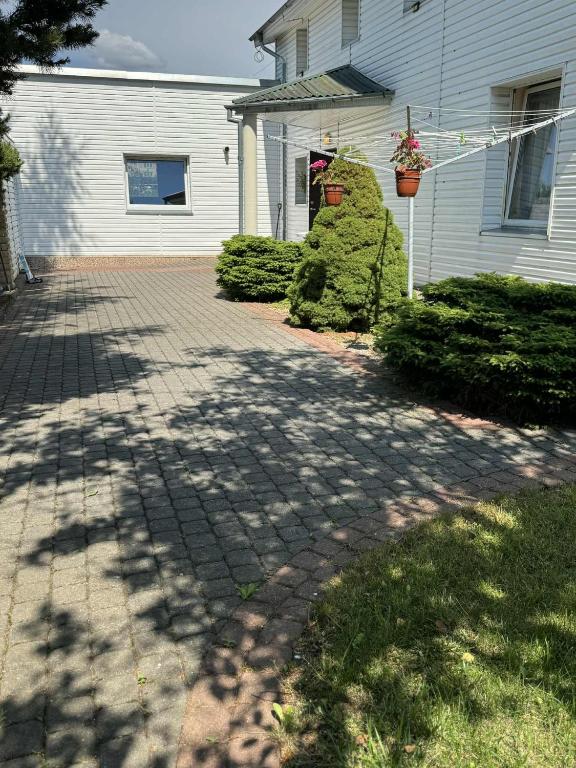 Zanetos apartamentai - B&B Palanga