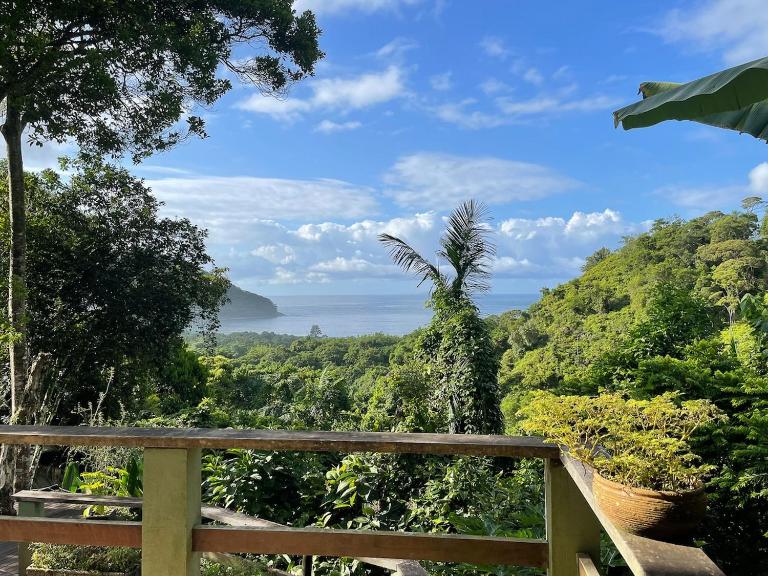 Vista espetacular, no meio da mata, com conforto - Chambres d'hôtes São Sebastião