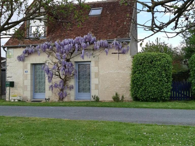 Gîte de charme avec jardin, proche Chenonceau et Beauval - FR-1-381-303 - B&B Luzillé