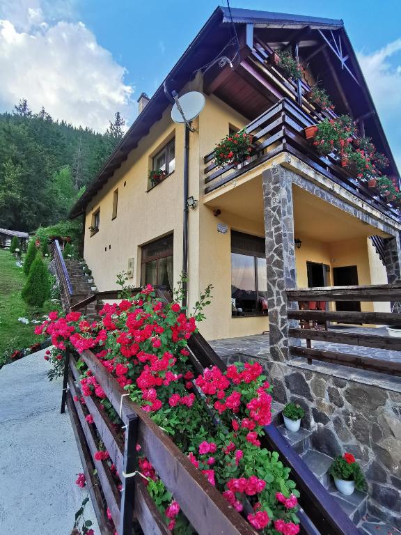 Casa Codrilor - B&B Lacu Roșu