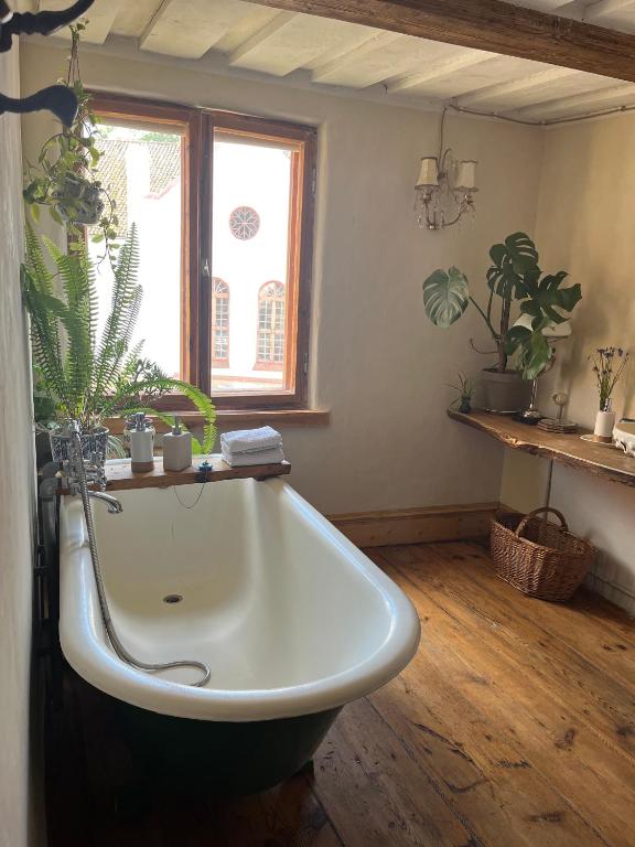 Kurte - Bed and Breakfast Talsi