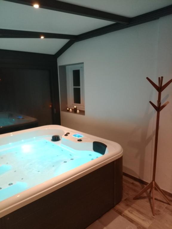 cocon secret - Bed and Breakfast Commequiers