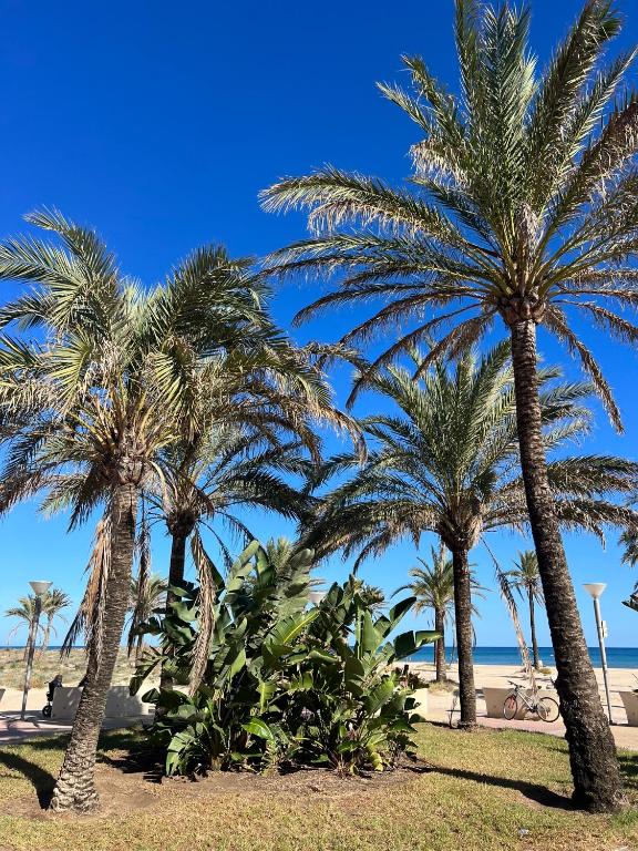 Apartamento Monika Playa y Grau - B&B Gandia