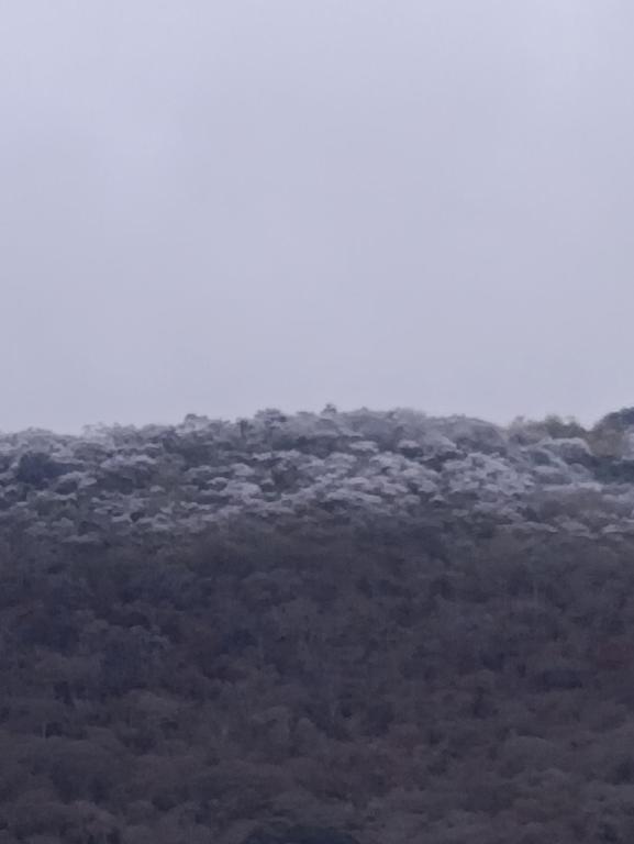dpto en pleno tres cerritos salta muy cerca de la virgen del cerro - B&B Salta