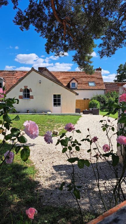 La Volière - B&B Mareuil-sur-Cher