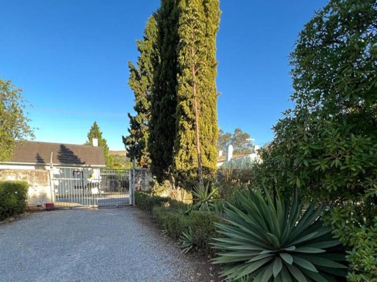 The Cock House - B&B Grahamstown