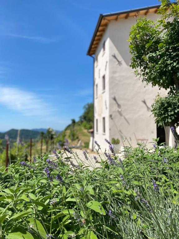 Casa Colli Impervi - Ferienwohnung Combai