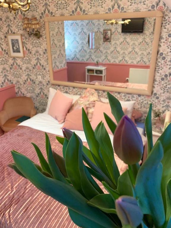 Willa Wydra - B&B Krośnica