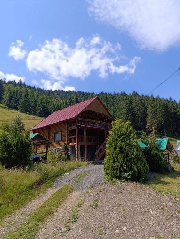 Лісовик - B&B Synevyrska Poliana