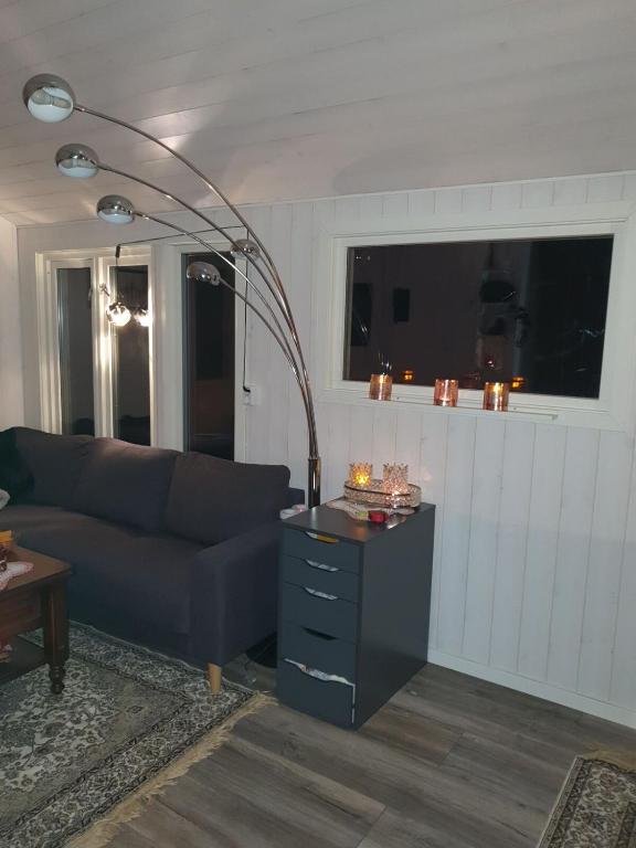 cozy cabin without water at lapphaungen - Ferienwohnung Tennevoll
