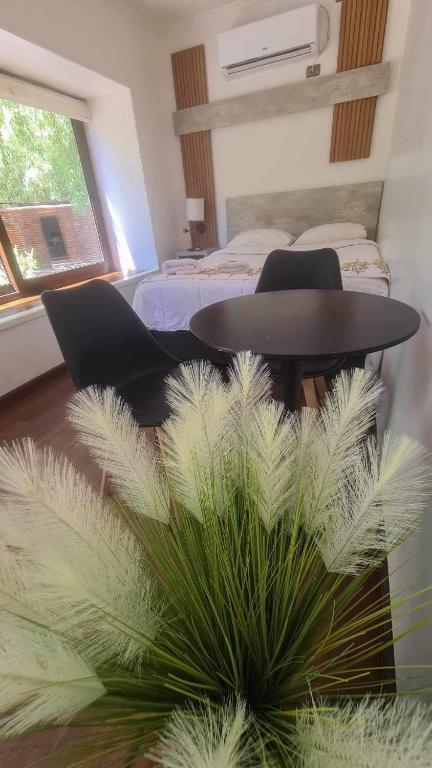 Alojamiento Borde Río habitación - B&B Concepción