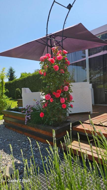 Ubytování pod Třešní - Ferienwohnung Teltsch