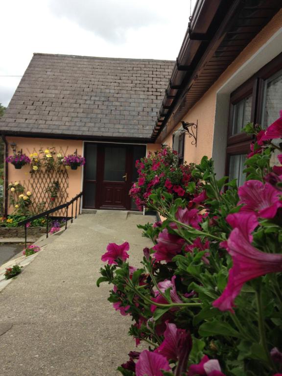 Eriu Lodge - Ferienwohnung Clifden