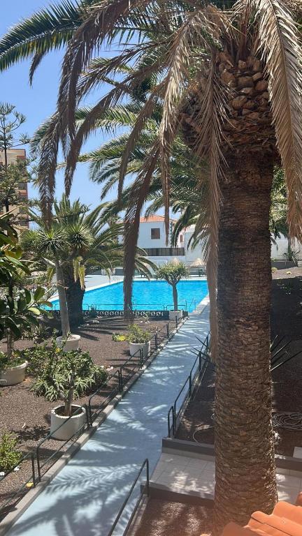 Apartamento Dispa beach - Ferienwohnung Punta Larga