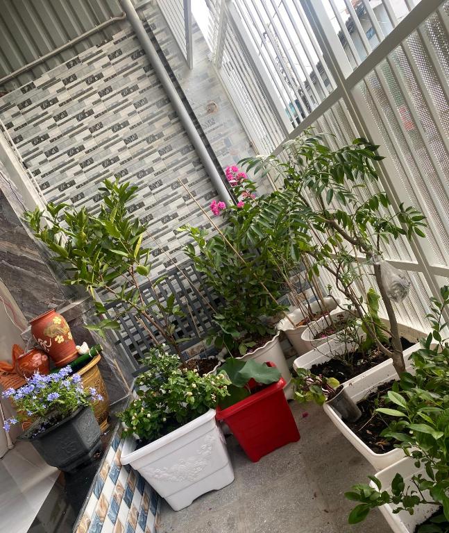 Hiwinwin Homestay Holiday - Ferienwohnung Chợ Phước Hải