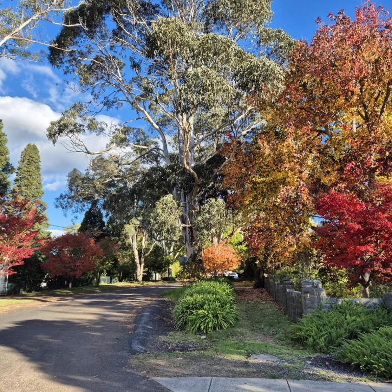 Fenway Cottage - Bed and Breakfast Bowral