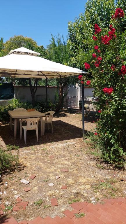La Casa dei Melograni - B&B Roma