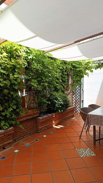 Casa de la Portuguesa, bonita terraza con barbacoa - B&B Güéjar-Sierra