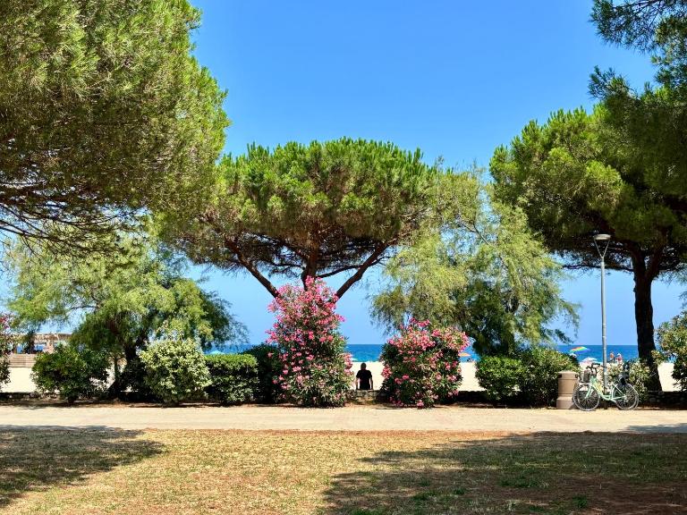 Studio avec jardin front de mer - B&B Argeles