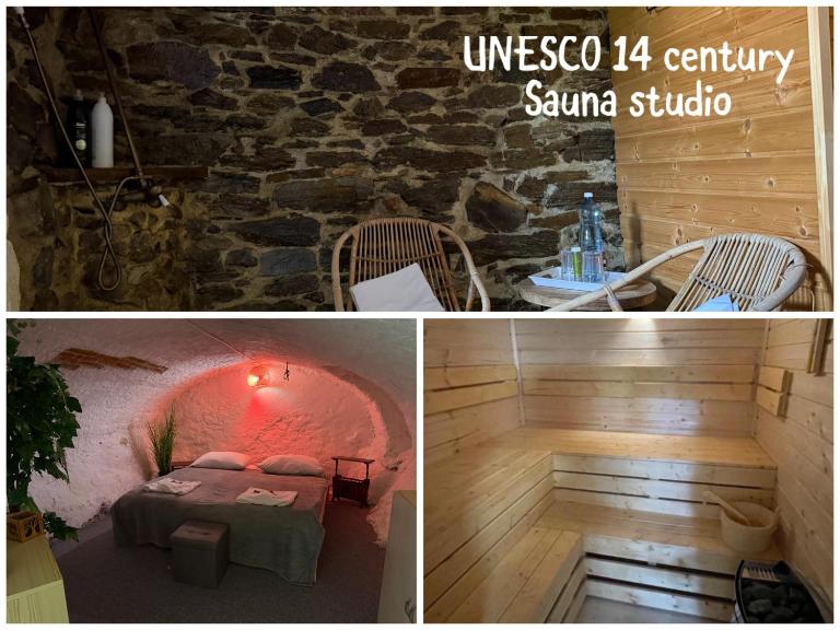 Sauna apartment UNESCO 14 century - B&B Český Krumlov
