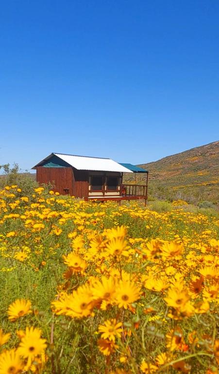 Agama Tented Camp - B&B Garies