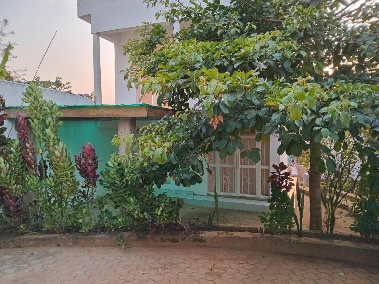 living waters - B&B Bombo
