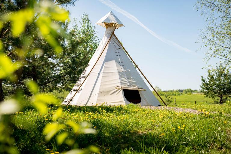 Briedžio sapnas - tipis mėnulis - B&B Sudervė