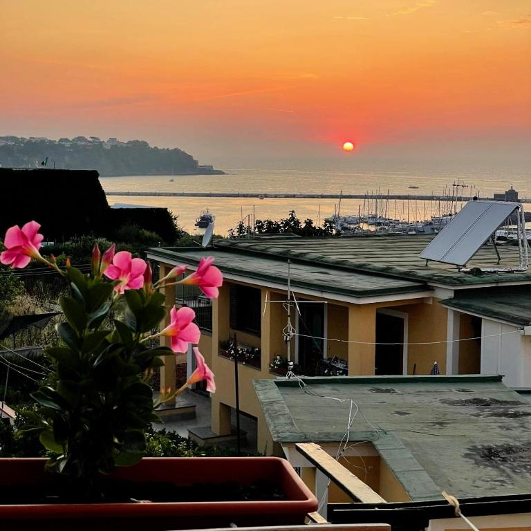 Nonna Rosa, Casa sul Mare - B&B Procida