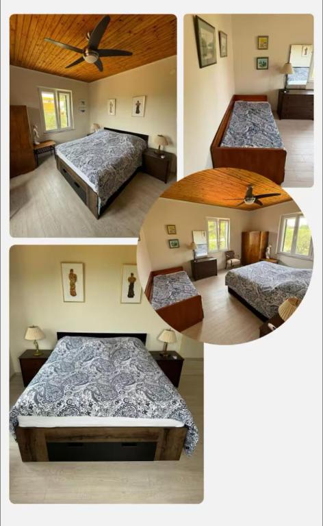 Apartman Škalabrin 1 - B&B Prvić Luka
