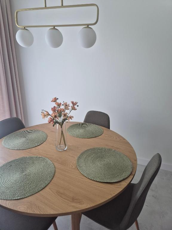 Apartament ZAMKOWA PARK Węgorzewo - Chambres d'hôtes Węgorzewo