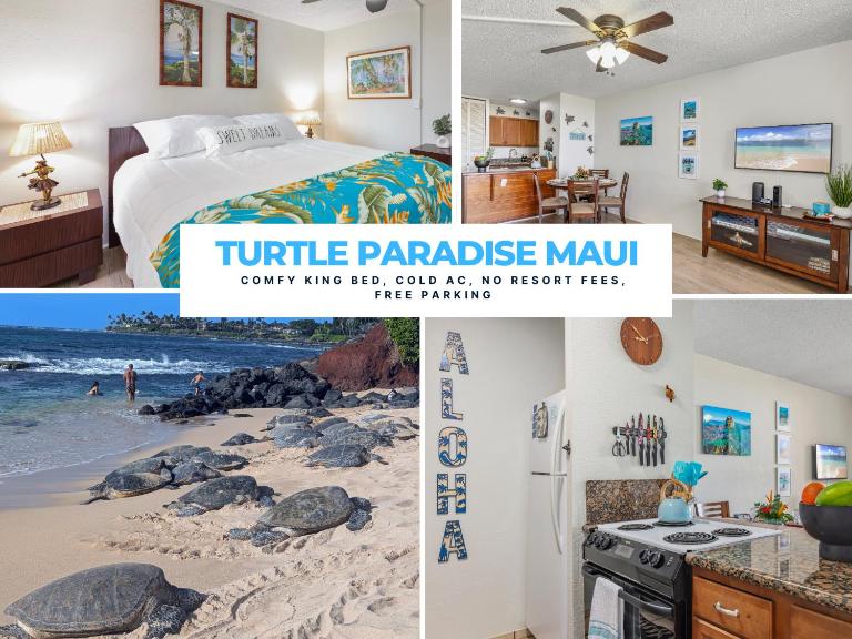 Turtle Paradise - King bed, AC, Across from Beach - B&B Kīhei