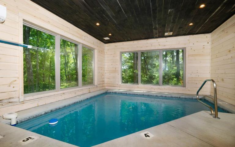 Tennessee Swim - Ferienwohnung Pittman Center