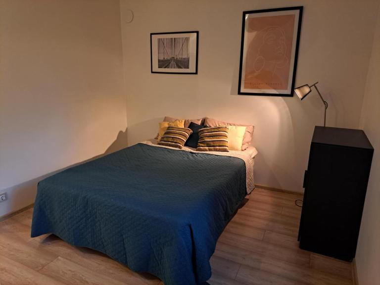 Cozy Studio - 5 min to Lake & City - B&B Alūksne