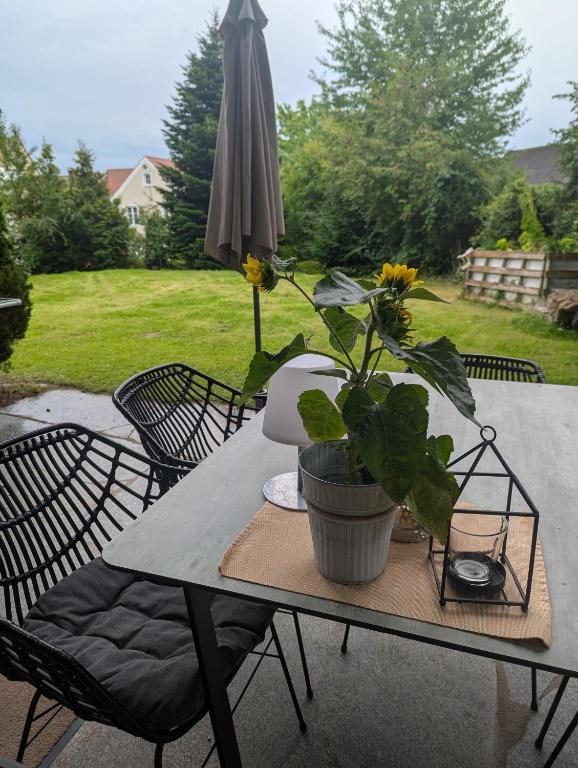 Ferienwohnung Sperber - Ferienwohnung Windischeschenbach